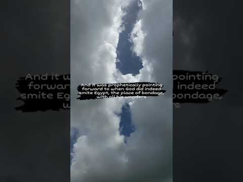 Psalm 89:5 And the heavens shall praise thy wonders, O Lord : thy faithfulness also in the .....