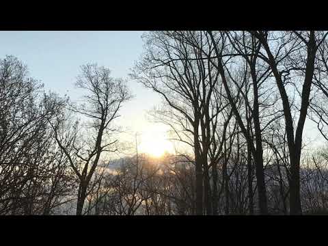 Do We Delight In The Misfortune Of Others? Micah 7:5-10