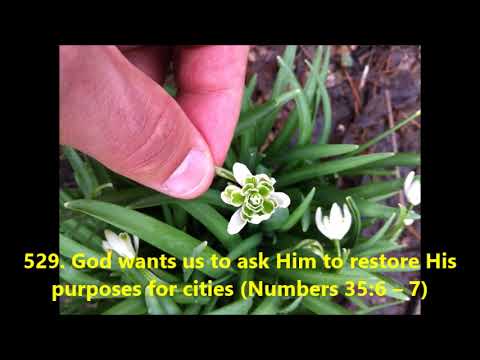 529. God wants us to ask Him to restore His purposes for cities (Numbers 35:6–7)