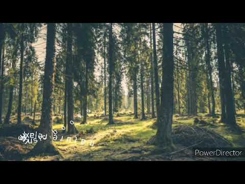 I knew you always listened to me! July 17 John 11: 41-44