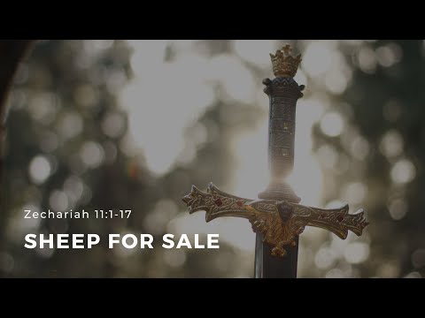 Zechariah 11:1-17 “Sheep for Sale” - May 28, 2021 | ECC Abu Dhabi