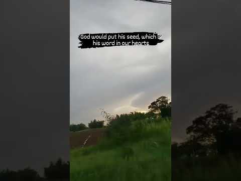 Psalm 86:16 O turn unto me, and have mercy upon me; give thy strength unto thy servant, and save....