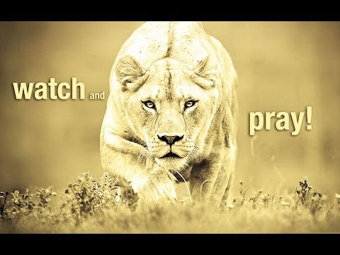 Watch and Pray (Dann Green on Matthew 26:41)