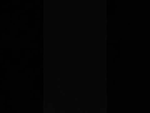 고린도전서 1 Corinthians 11:1~2. 메시지 The Message