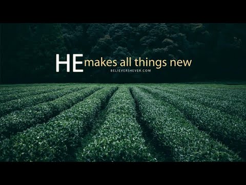 Early morning prayer requests/devotions! Scripture:1Samuel 24:1-4,14-18 Not Seeking Revenge! ????????