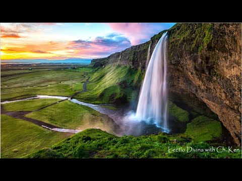 Lectio Divina - Psalm 31:6-11