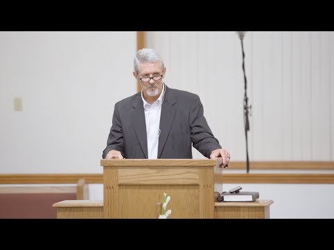 SERMON: 9-15-19 PM - "The Hawk and the Eagle" (Job 39:26-30)