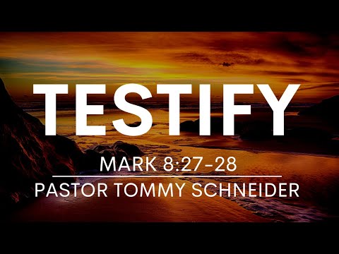 Testify | Mark 8:27-28