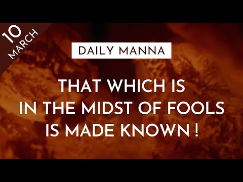 That Which Is In The Midst Of Fools Is Made Known | Proverbs 14:33 | Daily Manna