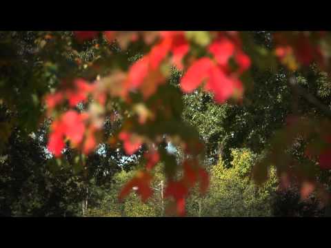 FLBC Daily Devotion Proverbs 28:26