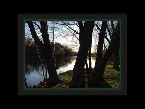 Coffee Break (5 Minutes with God) Psalm 41:9-13