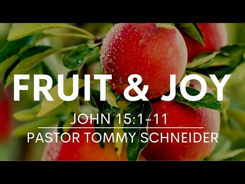John 15:1-11 | Fruit and Joy