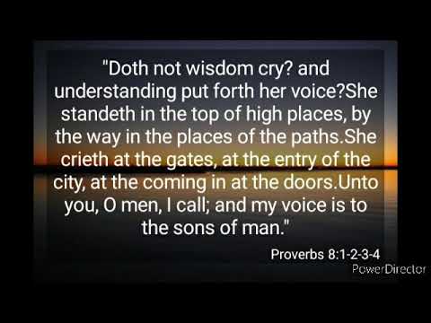 Proverbs 8:1~36