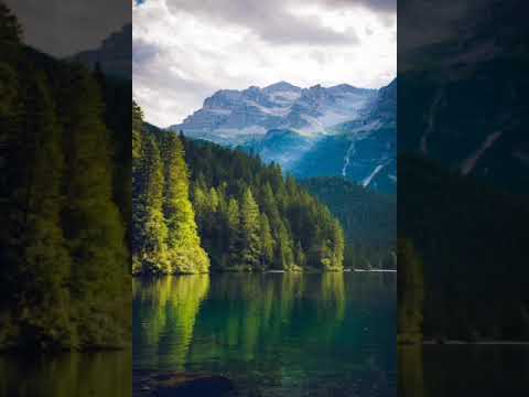 November 21st - Proverbs 28:6-7 - Psalm 119:1-16