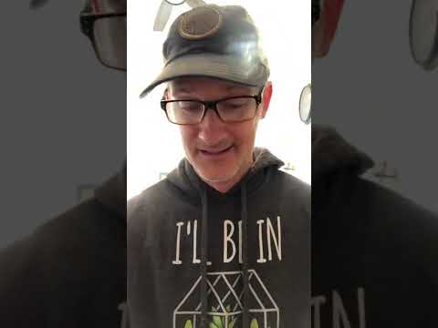 Sing the Bible - 2 Timothy 1:13-14