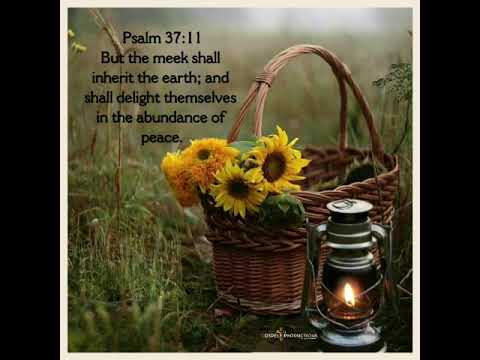VIDEO BIBLE VERSE  PSALM 37:11 KJV