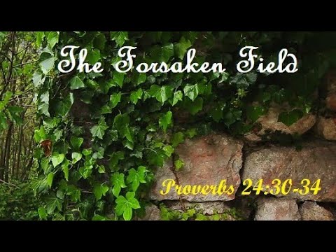 THE FORSAKEN FIELD | Proverbs 24:30-34