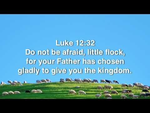 Luke 12:32 (Promise)