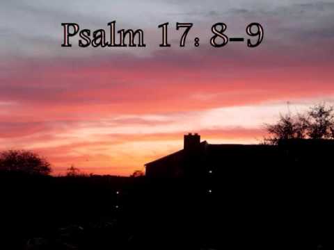Psalm 17:8-9
