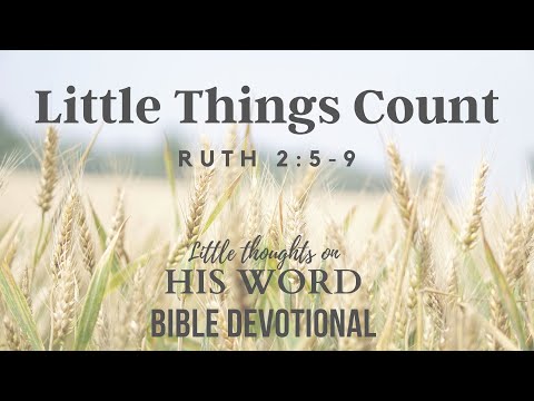 Little Things Count | Ruth 2: 5-9  Daily Devotional | Ruth and Boaz / Little Thoughts