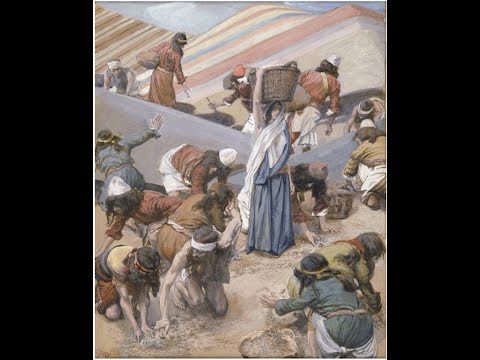 Reflections on Exodus 16:2-4, 9-15