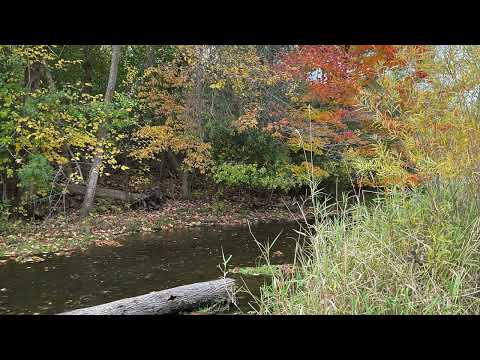 Scripture Verse By Verse (5) Isaiah 7:17-8:10