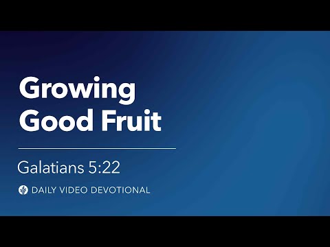 Growing Good Fruit | Galatians 5:22 | Our Daily Bread Video Devotional