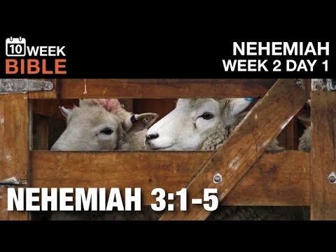 The Sheep Gate | Nehemiah 3:1-5 | Week 2 Day 1 Study of Nehemiah