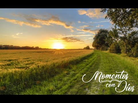 Deja que el Señor busque tu compañer@ | Genesis 24: 2 - 4