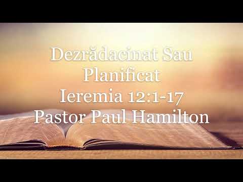 Bible Study: Jeremiah 12:1-17 - Uprooted Or Planted