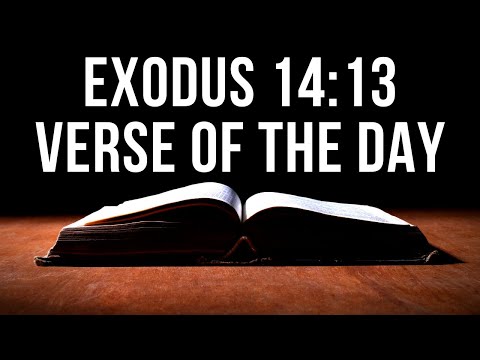 Exodus 14:13 Verse Of The Day | Bible Verse Explanation And Thoughts