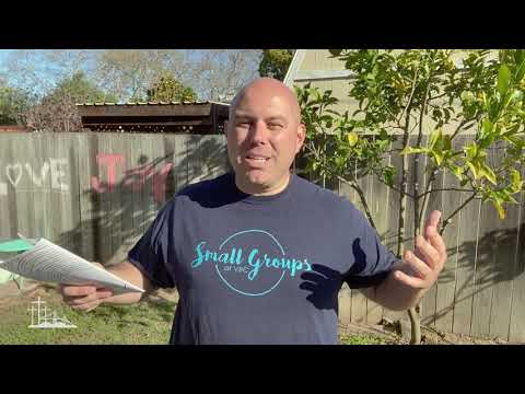 "Who's Your One?" Day 24 | Mark 10:21-22 | #314 VBC Daily 3 | Matthew Nicosia, Associate Pastor