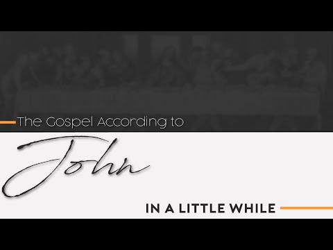 In a Little While - John 16:16-22