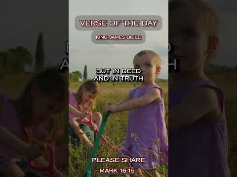 VERSE OF THE DAY - 1 John 3:18 #DailyScripture #BibleVerse #ChristianShorts #ScriptureOfTheDay
