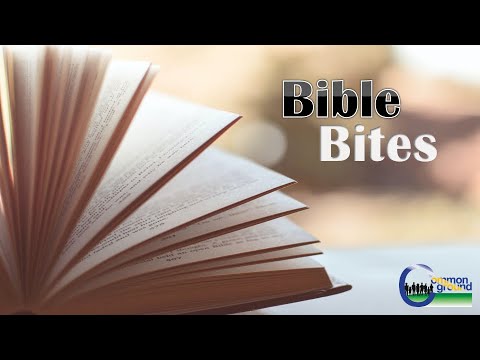 Bible Bites: Matthew 11:7-19