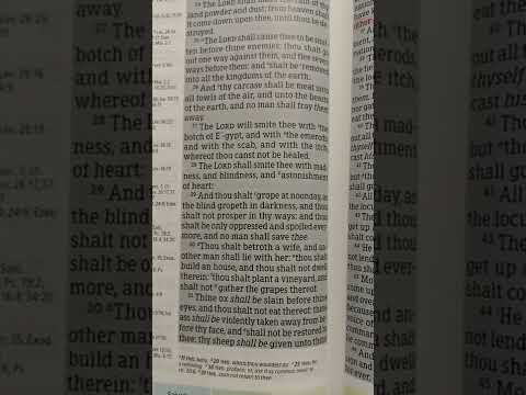 Deuteronomy 28:25-31 KJV