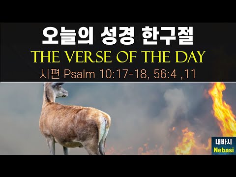 Oct. 8 l Psalm 10:17–18, 56:4, 11, Beloved who are in distress, you are safe in God’s love