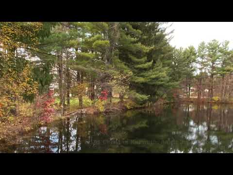 The Promise... Hebrews 11:35-39