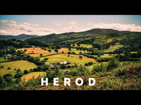 Gospel Reading & Reflection for Thursday September 22, 2022 | Luke 9:7-9 ( Herod )