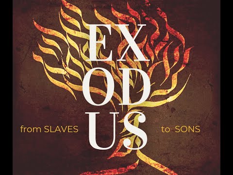 Exodus 8 :1-9:12 - Sept 4, 2022