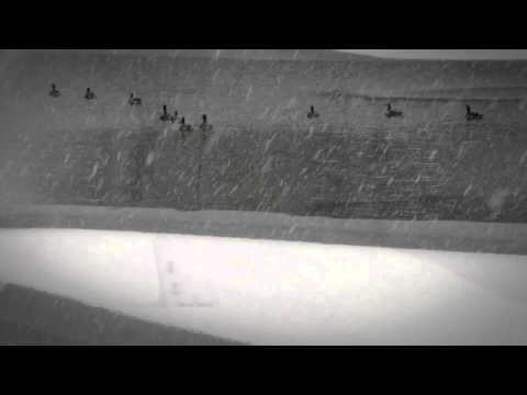 FLBC Daily Devotion Psalm 146:8