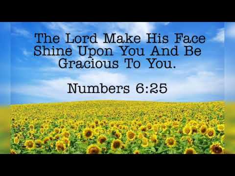 Bible words - Numbers 6:25