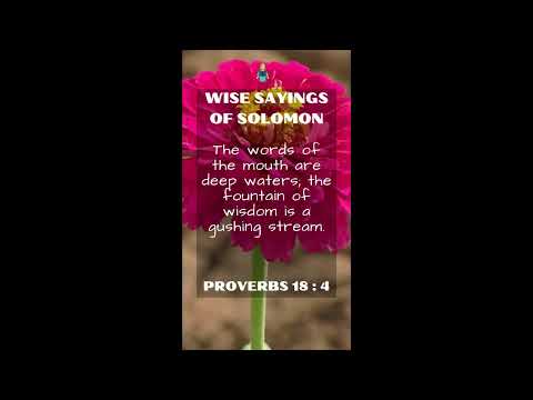 Proverbs 18:4 | NRSV Bible - Wise Sayings of Solomon