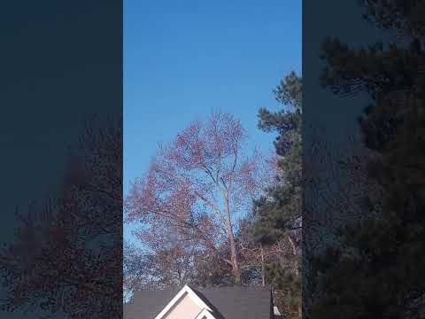 We are here to tell you the truth about Christmas with POWER!!  Jeremiah 10:1-4