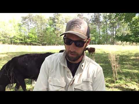 Wednesday Night Bible Study- 04/22/20 1 Kings 3:7-12