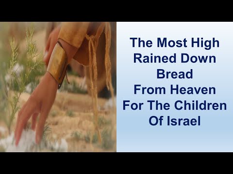 The Most High Rained Down Bread From Heaven For The Children Of Israel - Exodus 16:1-36