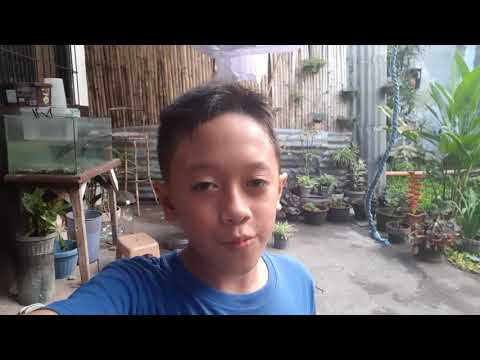 January 26 2020 | Acts 26:4