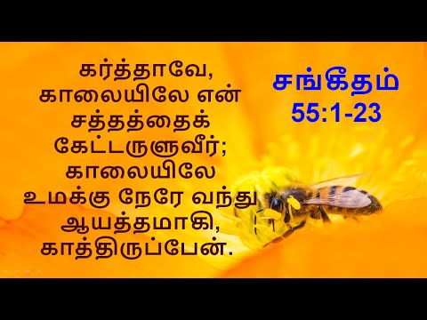 Psalm 55 : 1-23 / சங்கீதம் 55 : 1- 23 தேவனே, என் ஜெபத்தைக் கேட்டருளும்; என் விண்ணப்பத்திற்கு