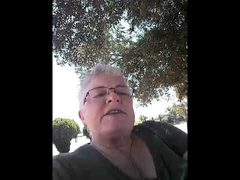 Scripture  |  Exodus 19:2-8a, Romans 5:1-8, and Matthew 9:35-10:8