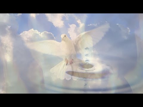 Not Alone: How God Gathers Us Together  |  Numbers 11:16-30